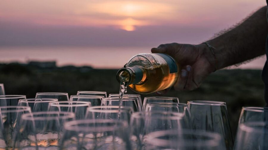 Castelsardo: visit a vineyard with wine tasting at sunset - Watching the Gulf of Asinara Turn to Sunset Light