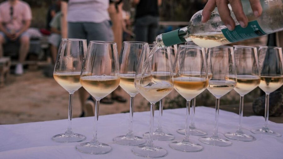 Castelsardo: visit a vineyard with wine tasting at sunset - Should You Book This Castelsardo Sunset Vineyard Experience?