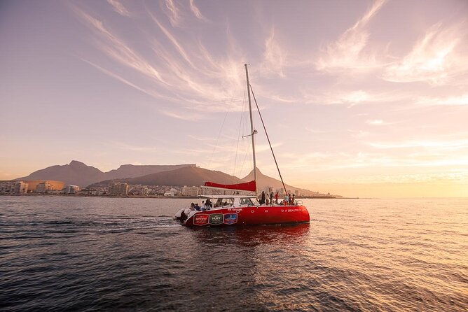 Catamaran Sunset Champagne Cruise Cape Town - Key things you’ll notice on this Cape Town sunset cruise