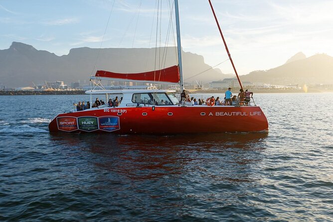 Catamaran Sunset Champagne Cruise Cape Town - Wildlife spotting from the catamaran deck