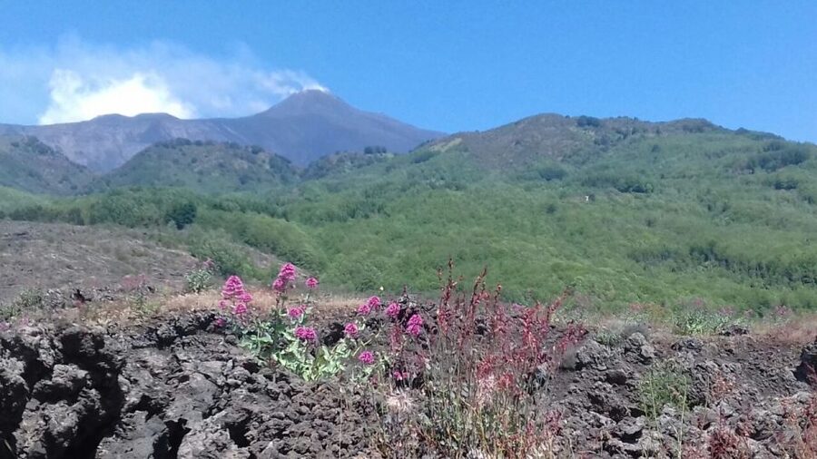 Catania: Mount Etna Sunset Tour and Etna Doc Wine - Valle del Bove and the Ox Valley: when you see the caldera