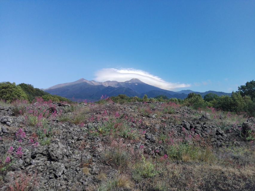 Catania: Mount Etna Sunset Tour and Etna Doc Wine - Should you book this Mount Etna Sunset and Etna DOC wine tour?