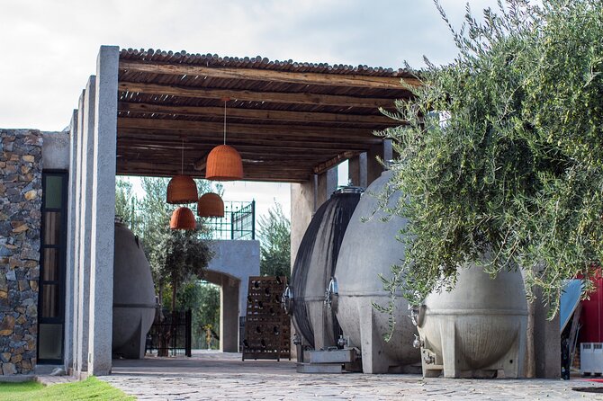 Catena Zapata Winery, Lunch and Private Transportation - Mendoza Wine Day, Done in Comfort: Private Ride Plus Two Big Names