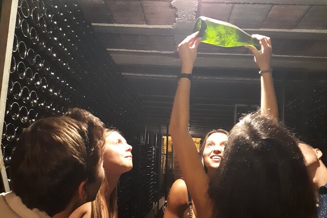 Cava tour to 3 family wineries with hotel pick-up - Key highlights you’ll feel on day one
