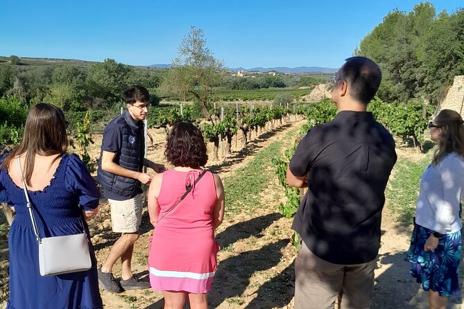 Cava tour to 3 family wineries with hotel pick-up - Stop 3: Vins El Cep for Pet-nat and Cava Gran Reserva