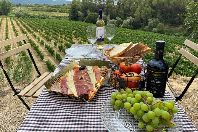 Cava tour to 3 family wineries with hotel pick-up - Small group, real questions, and a day that feels personal