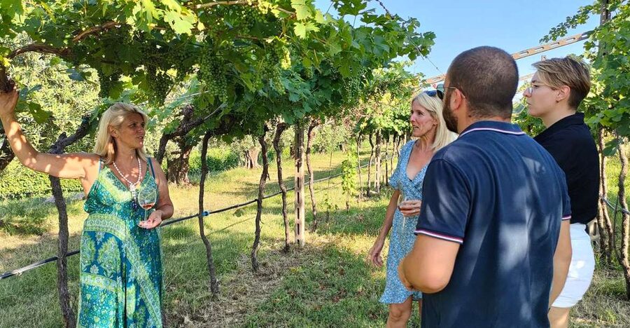 Cavaion: Lake Garda Wine & Food Tasting with Vineyard Tour - Key things I’d circle before you book