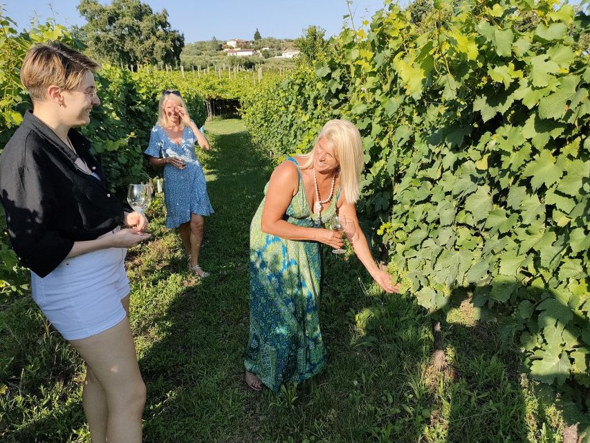 Cavaion: Lake Garda Wine & Food Tasting with Vineyard Tour - Why this Cavaion wine-and-food tasting feels practical (and not touristy)