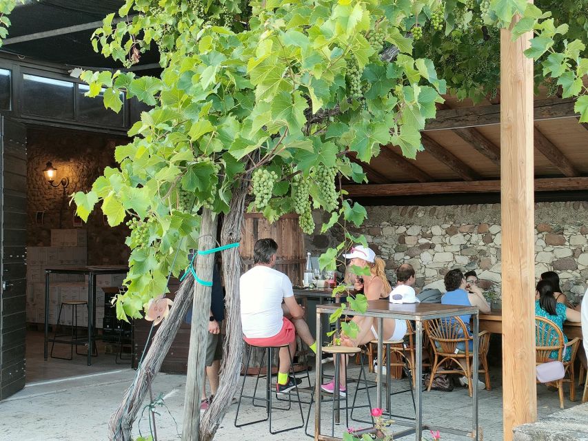 Cavaion: Lake Garda Wine & Food Tasting with Vineyard Tour - Getting there: meeting point issues and ride planning