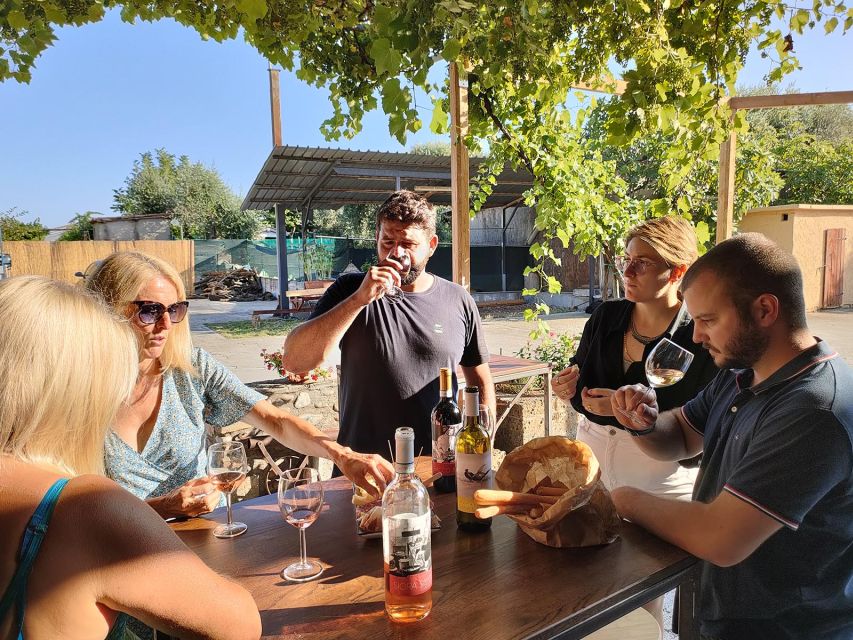 Cavaion: Lake Garda Wine & Food Tasting with Vineyard Tour - Price and time: is $41 worth it here?