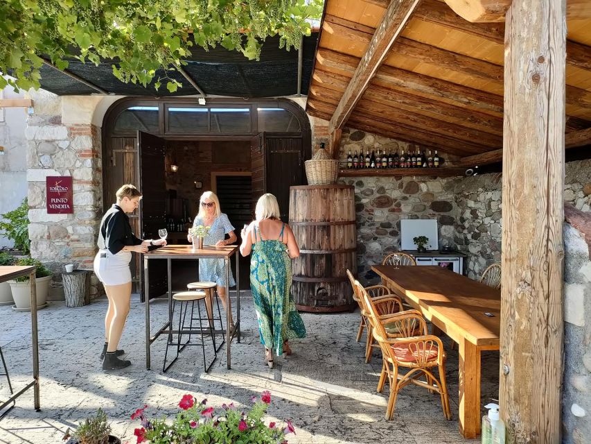 Cavaion: Lake Garda Wine & Food Tasting with Vineyard Tour - Group size, guides, and the tone of the visit