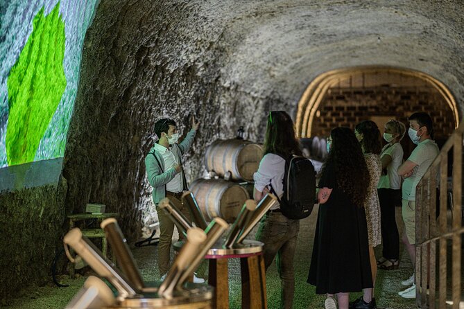 Caves Ambacia, Tour and Wine Tasting in Amboise, Loire Valley - Price and Timing: Is $33.88 Worth It?