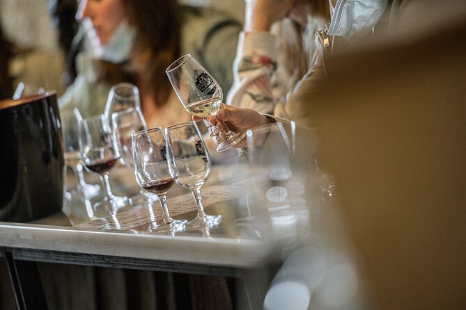 Caves Ambacia, Tour and Wine Tasting in Amboise, Loire Valley - Who Should Book This Loire Wine Lesson?