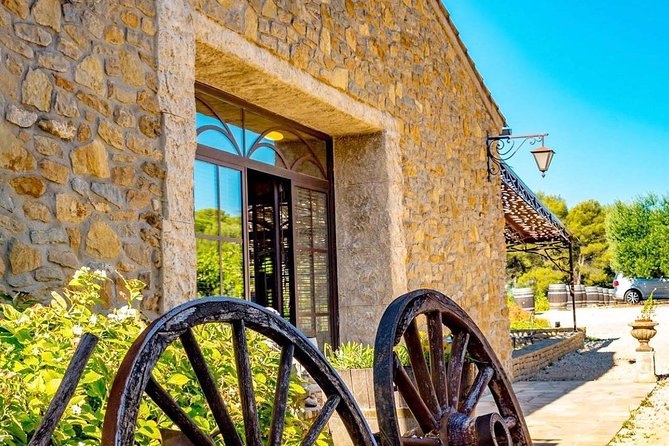 Cellar Visit & Bandol Wine Tasting (in French) - Key Highlights