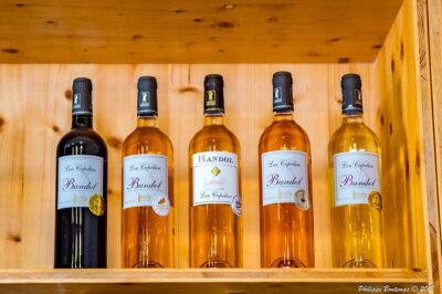 Cellar Visit & Bandol Wine Tasting (in French) - Price and Value at Lou Capelan: What You’re Really Paying For