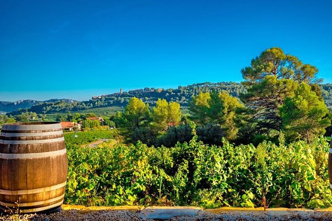 Cellar Visit & Bandol Wine Tasting (in French) - Tasting Time: 3 Country Wines and 3 Bandol Wines