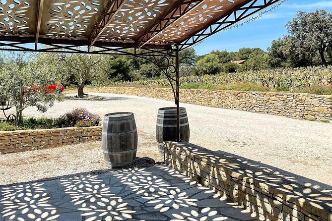 Cellar Visit & Bandol Wine Tasting (in French) - What You’ll Learn (Even If You Don’t Know Wine Yet)
