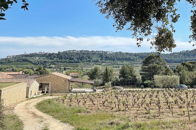 Cellar Visit & Bandol Wine Tasting (in French) - The Host Experience: Warm Welcome, Professional Answers