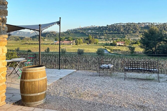 Cellar Visit & Bandol Wine Tasting (in French) - Group Size and Time Management: Comfortable, Not Rushed