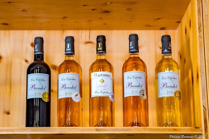 Cellar Visit & Bandol Wine Tasting (in French) - Price and Value at Lou Capelan: What You’re Really Paying For