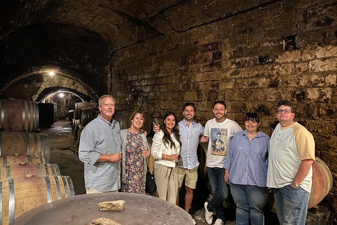 Chablis and Burgundy Wine Tour Run by Sommelier with Lunch - Who this tour is best for (and who should think twice)