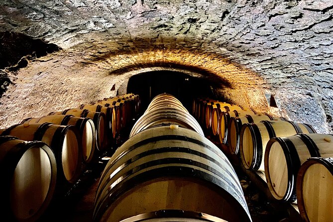 Chablis and Burgundy Wine Tour Run by Sommelier with Lunch - The village of Chablis: walking, tasting, and snack-level reality