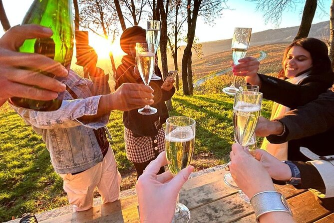 Champagne and Reims Tasting Day Trip from Paris - Champagne-Ardenne viewpoints: take the photo before you rush again
