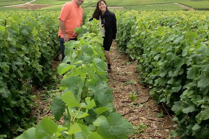 Champagne Area Small-Group Tour including a Top Champagne house & Family Winery - A Tight Little Group and a Long Day Out of Paris