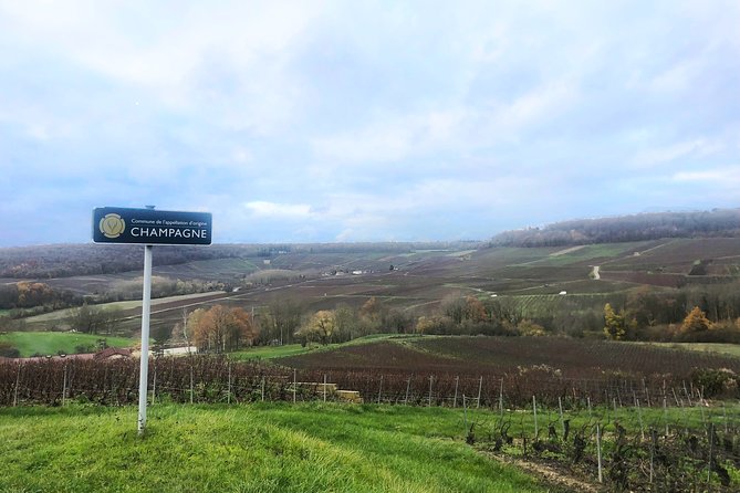 Champagne Area Small-Group Tour including a Top Champagne house & Family Winery - The Family Winery Finish: Champagne Roger-Constant Lemaire