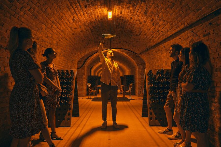 Champagne: Champagne Tasting Class with Lunch - Who this tour suits best (and who might want a different option)