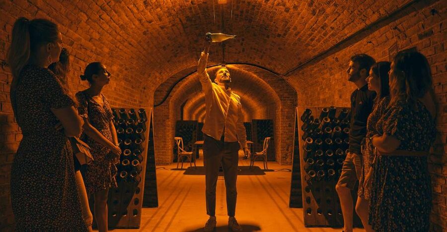 Champagne: Champagne Tasting Class with Lunch - Cellar visit: 1850s digs, traditional press, and what to notice