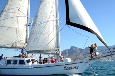 Champagne Cruise (Pre-Sunset) from Cape Town - Price and value: what $23.01 buys you in the real world