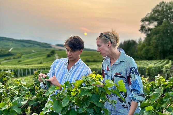 Champagne Day Trip from Paris with 8 Tastings & Lunch - Key things I’d plan around on this Champagne day trip