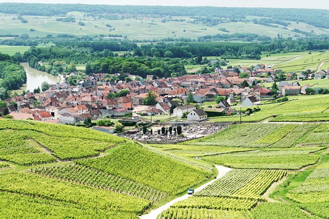 Champagne Day Trip with 6 Tastings, Reims and Winery from Paris - Why This Champagne Day Trip Works So Well From Paris