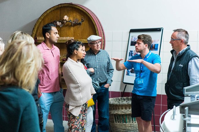 Champagne Day Trip with 6 Tastings, Reims and Winery from Paris - Champagne-Ardenne Vineyard Walk: Grapes, Terrain, and Real Farming