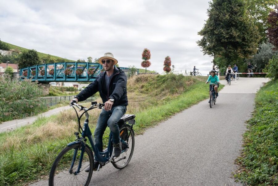 Champagne: E-Bike Champagne Day Tour with Tastings and Lunch - Riding through Premier and Grand Cru villages and UNESCO vineyards