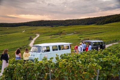 Champagne experience with a vintage van from Epernay - 3 hours - The Aÿ-Champagne stop: vineyard views and a season-by-season lesson
