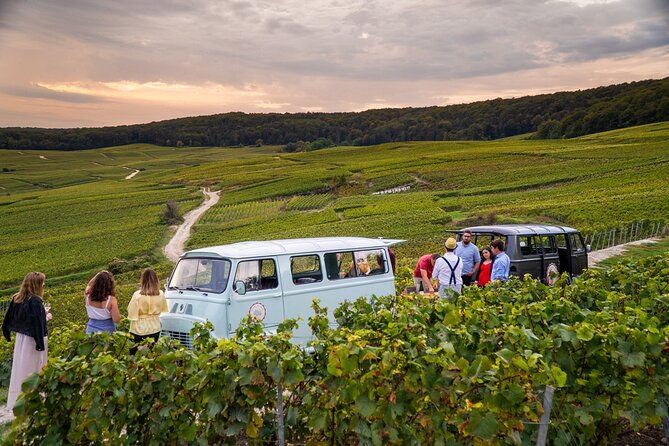 Champagne experience with a vintage van from Epernay - 3 hours - The Aÿ-Champagne stop: vineyard views and a season-by-season lesson