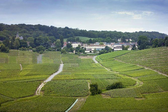 Champagne Region Private Day Trip from Paris - Key highlights at a glance