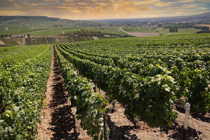 Champagne Tasting Tour Day Trip From Paris - First impressions: why this Paris-to-Champagne setup works