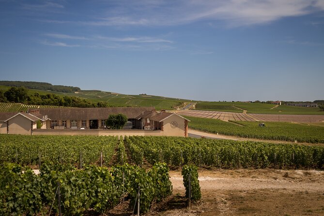 Champagne Tasting Tour Day Trip From Paris - Tasting quantity and how to pace yourself