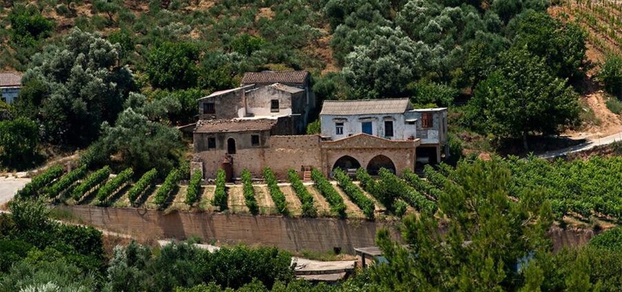 Chania: Milia Mountain Tour w/Lunch Olive Oil/Wine Tastings - Timing and pacing: how the day stays comfortable