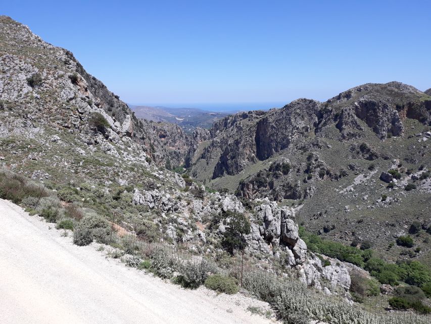 Chania: Milia Mountain Tour w/Lunch Olive Oil/Wine Tastings - Price and value: is $176 worth it?