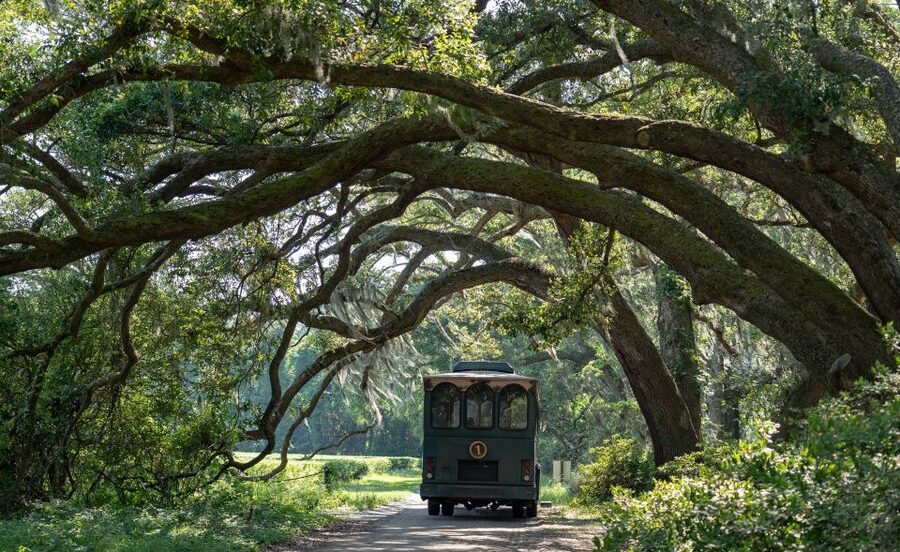 Charleston: Wadmalaw Island Wine Tasting and Tea Garden Trip - Getting There: 375 Meeting St and a Comfortable Mercedes Sprinter