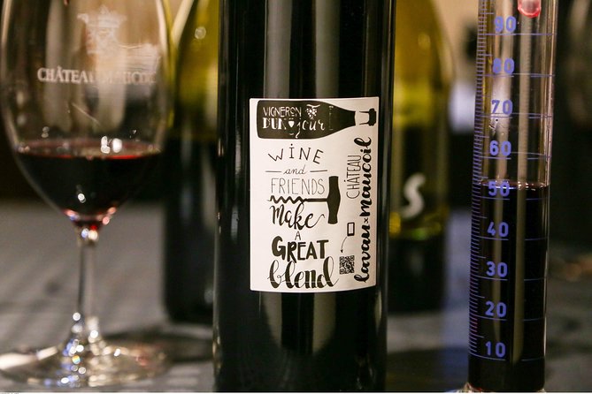 Châteauneuf du Pape Wine Day Tasting Tour including Lunch from Avignon - From Avignon to Châteauneuf: What the Full Day Feels Like