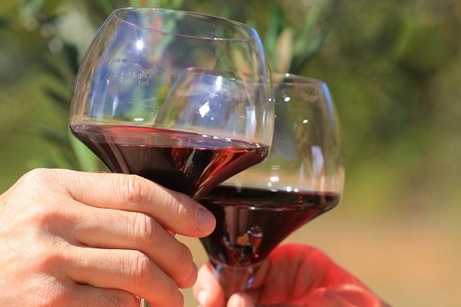 Châteauneuf du Pape Wine Day Tasting Tour including Lunch from Avignon - Châteauneuf-du-Pape and the Neighbor Villages You Might Hit
