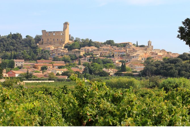 Châteauneuf du Pape Wine Day Tasting Tour including Lunch from Avignon - Price and Logistics: Does $193.57 Make Sense?