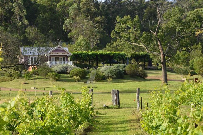 Chef-Led Hunter Valley Gourmet Food and Wine Day Tour from Sydney - The 11–12 hour schedule: what you gain, what to plan for