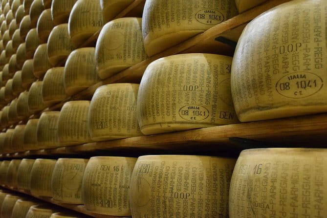 Chianti Classico and Super Tuscan 3 Winery Tour - The Guides: Friendly Hosts Who Teach While They Drive the Story