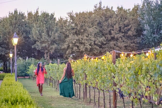 Chianti Delights: A Tale Of Two Wineries With A Vineyard Dinner - Key things that make this tour work